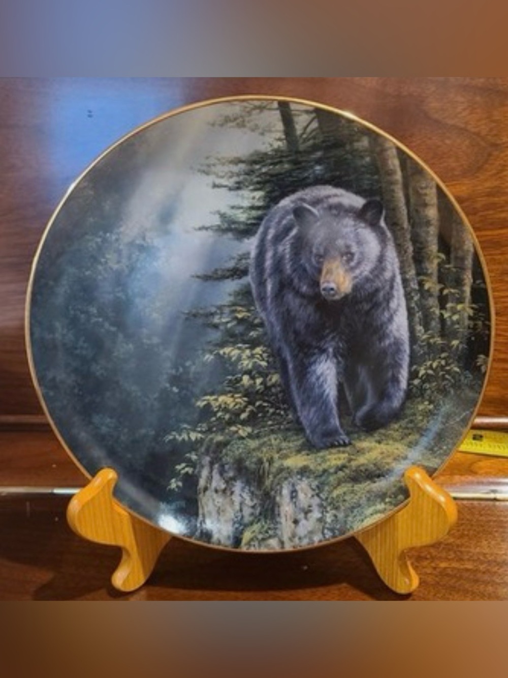 Wild Wings Rocky Outcrop Black Bear Collector Plate Print #253